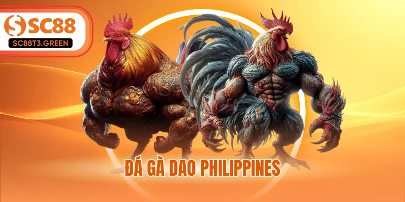 Đá Gà Dao Philippines - Những Trận Đấu Kịch Tính Quốc Tế